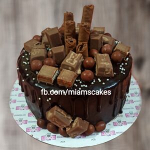 MIAMS Choco Regal Riot